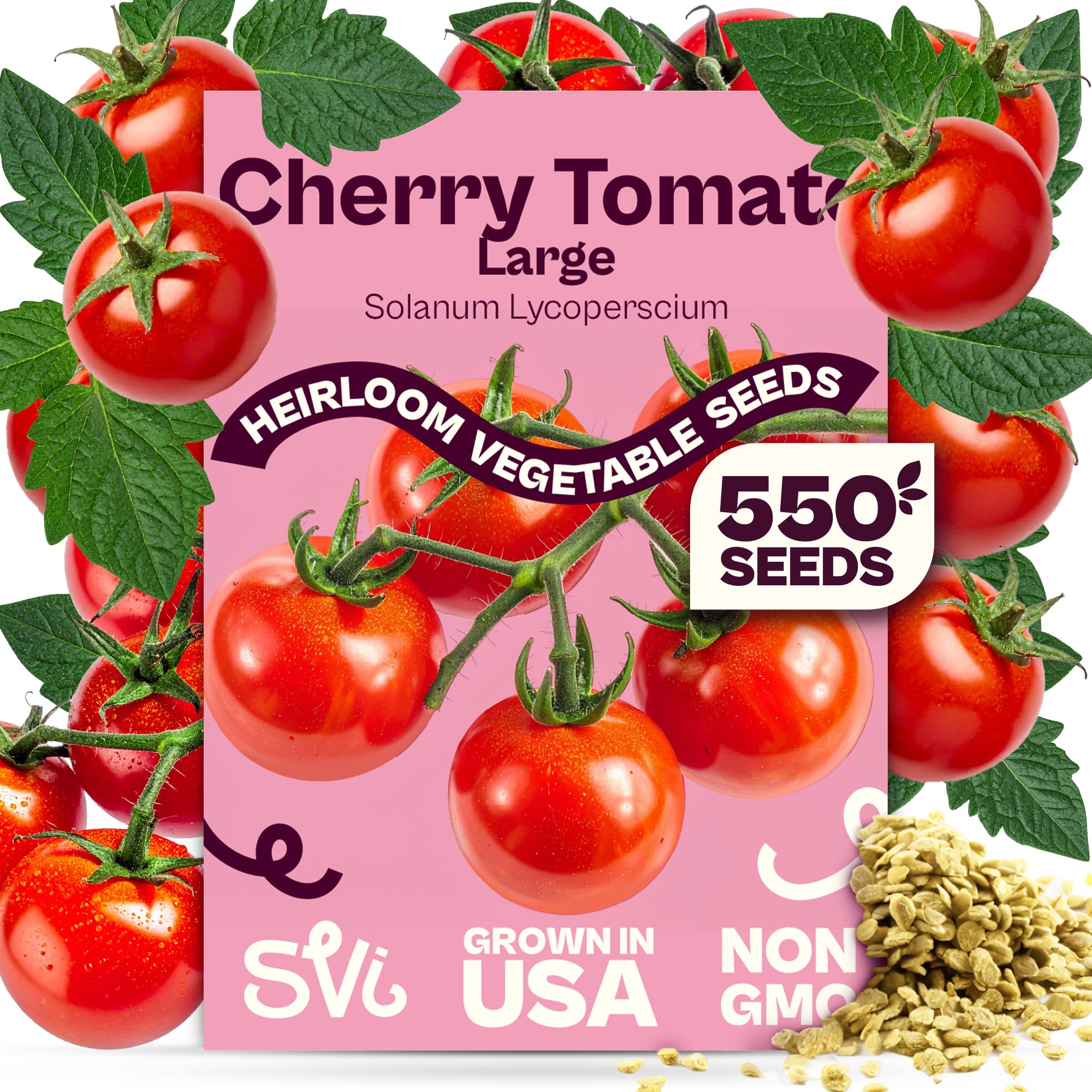 Amazon.com : SVI 550 Large Red Cherry Tomato Seeds (Solanum